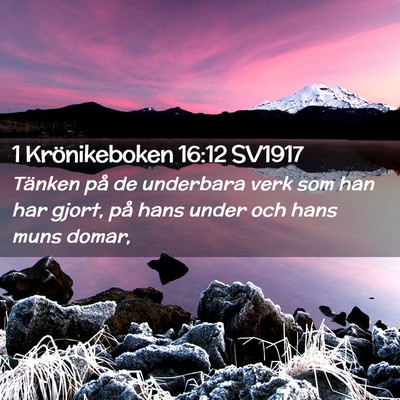 Picture 02 - 1 Krönikeboken 16:12 SV1917 - Tänken på de underbara verk som han har gjort, - Bible Verse Picture