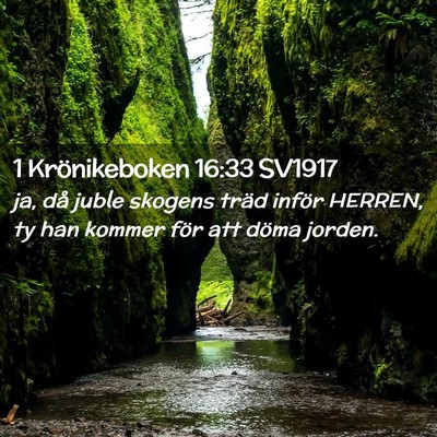 Picture 02 - 1 Krönikeboken 16:33 SV1917 - ja, då juble skogens träd inför HERREN, ty han - Bible Verse Picture