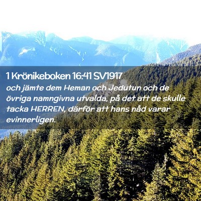 Picture 02 - 1 Krönikeboken 16:41 SV1917 - och jämte dem Heman och Jedutun och de övriga - Bible Verse Picture