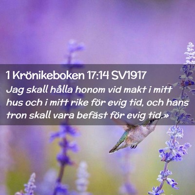 Picture 02 - 1 Krönikeboken 17:14 SV1917 - Jag skall hålla honom vid makt i mitt hus och i - Bible Verse Picture