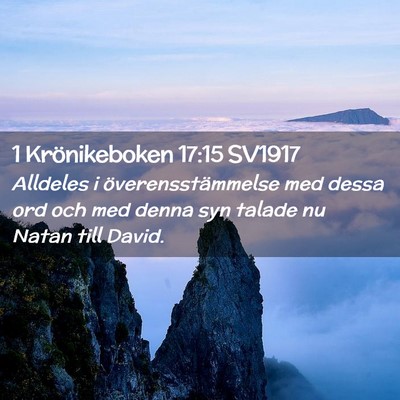 Picture 02 - 1 Krönikeboken 17:15 SV1917 - Alldeles i överensstämmelse med dessa ord och - Bible Verse Picture