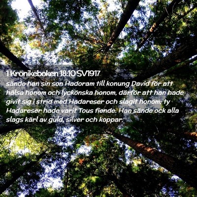 Picture 02 - 1 Krönikeboken 18:10 SV1917 - sände han sin son Hadoram till konung David för - Bible Verse Picture