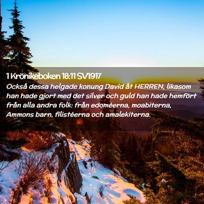 Picture 02 - 1 Krönikeboken 18:11 SV1917 - Också dessa helgade konung David åt HERREN, - Bible Verse Picture