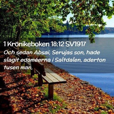 Picture 02 - 1 Krönikeboken 18:12 SV1917 - Och sedan Absai, Serujas son, hade slagit - Bible Verse Picture