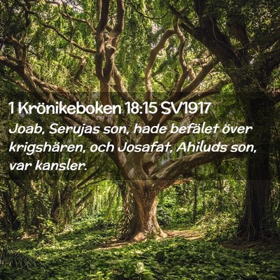 Picture 02 - 1 Krönikeboken 18:15 SV1917 - Joab, Serujas son, hade befälet över - Bible Verse Picture