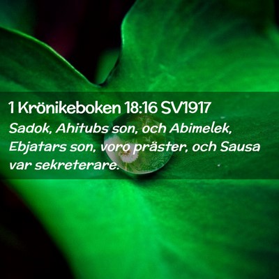 Picture 02 - 1 Krönikeboken 18:16 SV1917 - Sadok, Ahitubs son, och Abimelek, Ebjatars son, - Bible Verse Picture