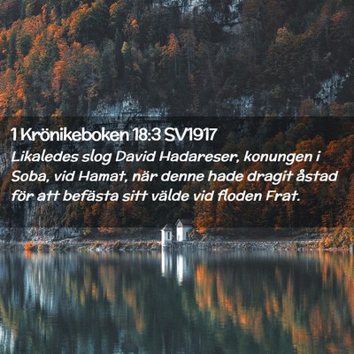 Picture 02 - 1 Krönikeboken 18:3 SV1917 - Likaledes slog David Hadareser, konungen i Soba, - Bible Verse Picture