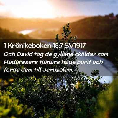 Picture 02 - 1 Krönikeboken 18:7 SV1917 - Och David tog de gyllene sköldar som Hadaresers - Bible Verse Picture