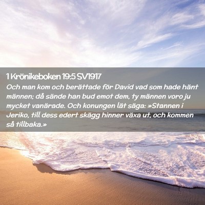 Picture 02 - 1 Krönikeboken 19:5 SV1917 - Och man kom och berättade för David vad som - Bible Verse Picture