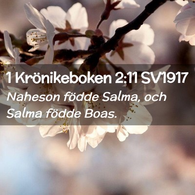 Picture 02 - 1 Krönikeboken 2:11 SV1917 - Naheson födde Salma, och Salma födde - Bible Verse Picture