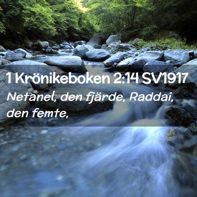 Picture 02 - 1 Krönikeboken 2:14 SV1917 - Netanel, den fjärde, Raddai, den - Bible Verse Picture