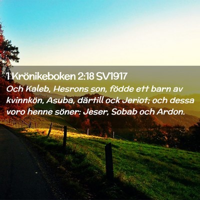 Picture 02 - 1 Krönikeboken 2:18 SV1917 - Och Kaleb, Hesrons son, födde ett barn av - Bible Verse Picture