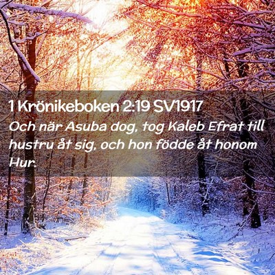 Picture 02 - 1 Krönikeboken 2:19 SV1917 - Och när Asuba dog, tog Kaleb Efrat till hustru - Bible Verse Picture