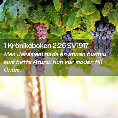 Picture 02 - 1 Krönikeboken 2:26 SV1917 - Men Jerameel hade en annan hustru som hette - Bible Verse Picture