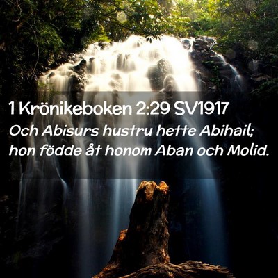 Picture 02 - 1 Krönikeboken 2:29 SV1917 - Och Abisurs hustru hette Abihail; hon födde åt - Bible Verse Picture