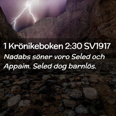 Picture 02 - 1 Krönikeboken 2:30 SV1917 - Nadabs söner voro Seled och Appaim. Seled dog - Bible Verse Picture