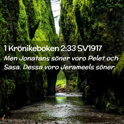 Picture 02 - 1 Krönikeboken 2:33 SV1917 - Men Jonatans söner voro Pelet och Sasa. Dessa - Bible Verse Picture