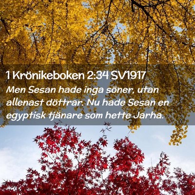 Picture 02 - 1 Krönikeboken 2:34 SV1917 - Men Sesan hade inga söner, utan allenast - Bible Verse Picture