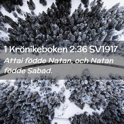 Picture 02 - 1 Krönikeboken 2:36 SV1917 - Attai födde Natan, och Natan födde - Bible Verse Picture