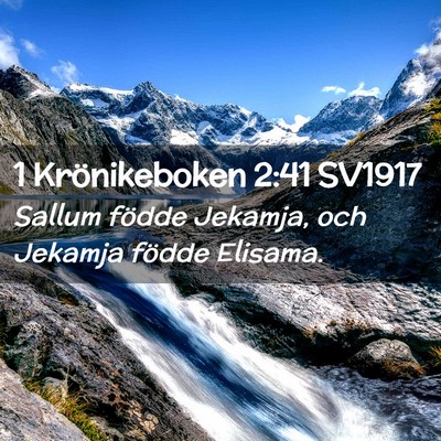 Picture 02 - 1 Krönikeboken 2:41 SV1917 - Sallum födde Jekamja, och Jekamja födde - Bible Verse Picture