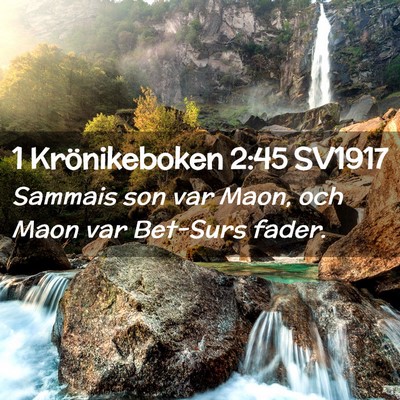 Picture 02 - 1 Krönikeboken 2:45 SV1917 - Sammais son var Maon, och Maon var Bet-Surs - Bible Verse Picture