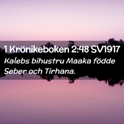Picture 02 - 1 Krönikeboken 2:48 SV1917 - Kalebs bihustru Maaka födde Seber och - Bible Verse Picture