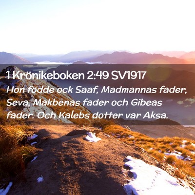 Picture 02 - 1 Krönikeboken 2:49 SV1917 - Hon födde ock Saaf, Madmannas fader, Seva, - Bible Verse Picture