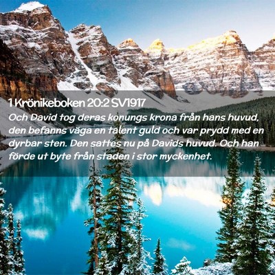 Picture 02 - 1 Krönikeboken 20:2 SV1917 - Och David tog deras konungs krona från hans - Bible Verse Picture
