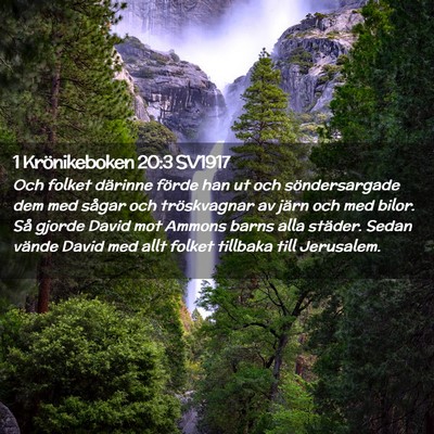 Picture 02 - 1 Krönikeboken 20:3 SV1917 - Och folket därinne förde han ut och - Bible Verse Picture