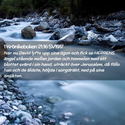 Picture 02 - 1 Krönikeboken 21:16 SV1917 - När nu David lyfte upp sina ögon och fick se - Bible Verse Picture