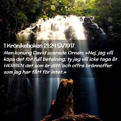 Picture 02 - 1 Krönikeboken 21:24 SV1917 - Men konung David svarade Ornan: »Nej, jag vill - Bible Verse Picture
