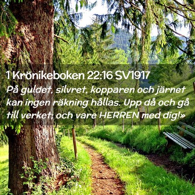 Picture 02 - 1 Krönikeboken 22:16 SV1917 - På guldet, silvret, kopparen och järnet kan - Bible Verse Picture