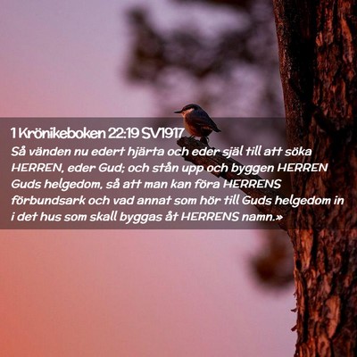 Picture 02 - 1 Krönikeboken 22:19 SV1917 - Så vänden nu edert hjärta och eder själ till - Bible Verse Picture