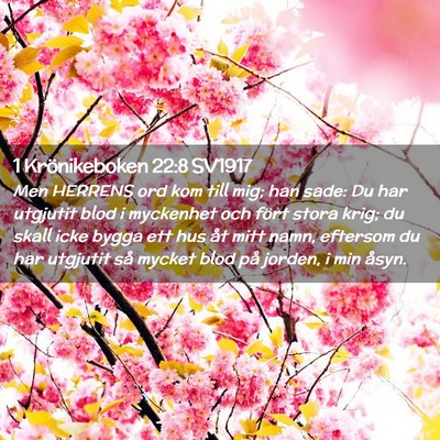 Picture 02 - 1 Krönikeboken 22:8 SV1917 - Men HERRENS ord kom till mig; han sade: Du har - Bible Verse Picture