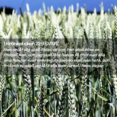 Picture 02 - 1 Krönikeboken 22:9 SV1917 - Men se, åt dig skall födas en son; han skall - Bible Verse Picture