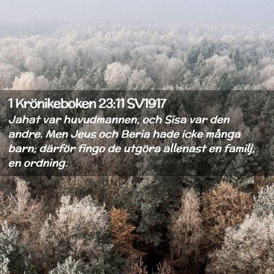Picture 02 - 1 Krönikeboken 23:11 SV1917 - Jahat var huvudmannen, och Sisa var den andre. - Bible Verse Picture