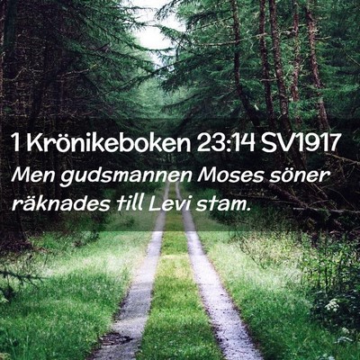 Picture 02 - 1 Krönikeboken 23:14 SV1917 - Men gudsmannen Moses söner räknades till Levi - Bible Verse Picture