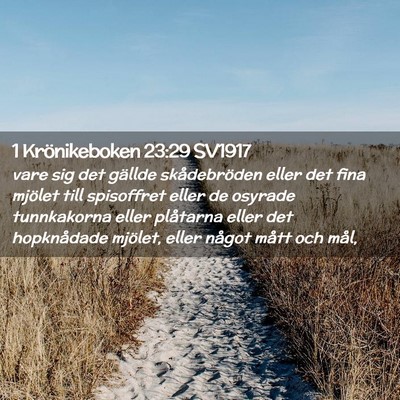 Picture 02 - 1 Krönikeboken 23:29 SV1917 - vare sig det gällde skådebröden eller det fina - Bible Verse Picture