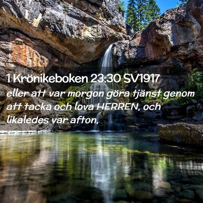 Picture 02 - 1 Krönikeboken 23:30 SV1917 - eller att var morgon göra tjänst genom att - Bible Verse Picture