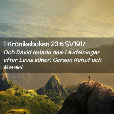 Picture 02 - 1 Krönikeboken 23:6 SV1917 - Och David delade dem i avdelningar efter Levis - Bible Verse Picture