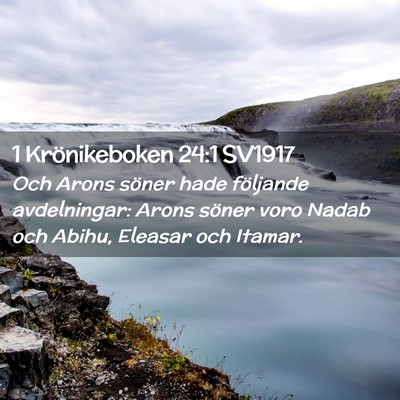 Picture 02 - 1 Krönikeboken 24:1 SV1917 - Och Arons söner hade följande avdelningar: - Bible Verse Picture
