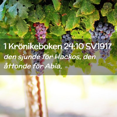 Picture 02 - 1 Krönikeboken 24:10 SV1917 - den sjunde för Hackos, den åttonde för - Bible Verse Picture