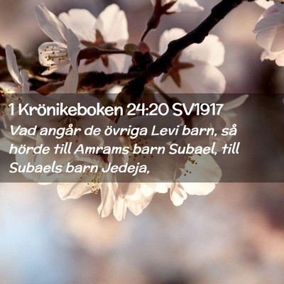 Picture 02 - 1 Krönikeboken 24:20 SV1917 - Vad angår de övriga Levi barn, så hörde till - Bible Verse Picture
