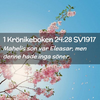 Picture 02 - 1 Krönikeboken 24:28 SV1917 - Mahelis son var Eleasar, men denne hade inga - Bible Verse Picture