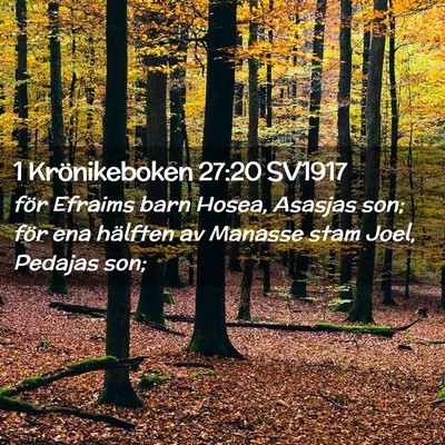 Picture 02 - 1 Krönikeboken 27:20 SV1917 - för Efraims barn Hosea, Asasjas son; för ena - Bible Verse Picture
