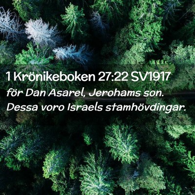 Picture 02 - 1 Krönikeboken 27:22 SV1917 - för Dan Asarel, Jerohams son. Dessa voro Israels - Bible Verse Picture