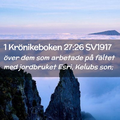 Picture 02 - 1 Krönikeboken 27:26 SV1917 - över dem som arbetade på fältet med jordbruket - Bible Verse Picture