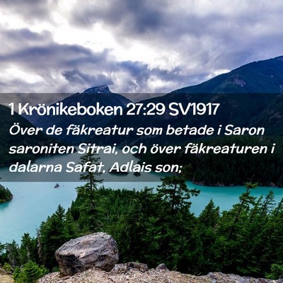 Picture 02 - 1 Krönikeboken 27:29 SV1917 - Över de fäkreatur som betade i Saron saroniten - Bible Verse Picture