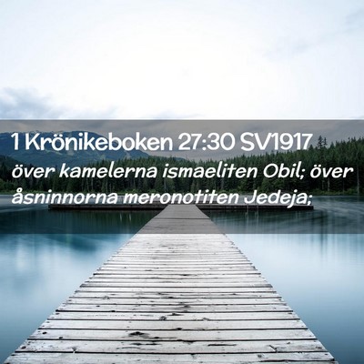 Picture 02 - 1 Krönikeboken 27:30 SV1917 - över kamelerna ismaeliten Obil; över - Bible Verse Picture