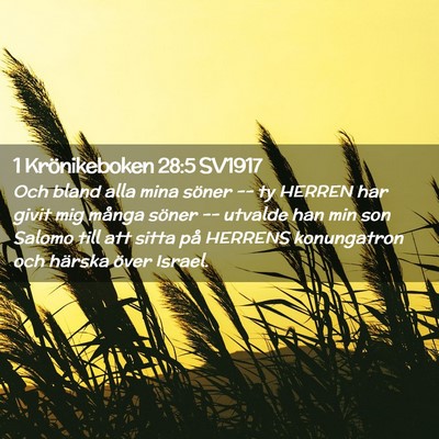 Picture 02 - 1 Krönikeboken 28:5 SV1917 - Och bland alla mina söner -- ty HERREN har givit - Bible Verse Picture